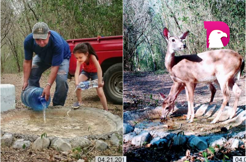  Activistas colocan agua en bebederos para los animales en la Biosfera de  “El Cielo”