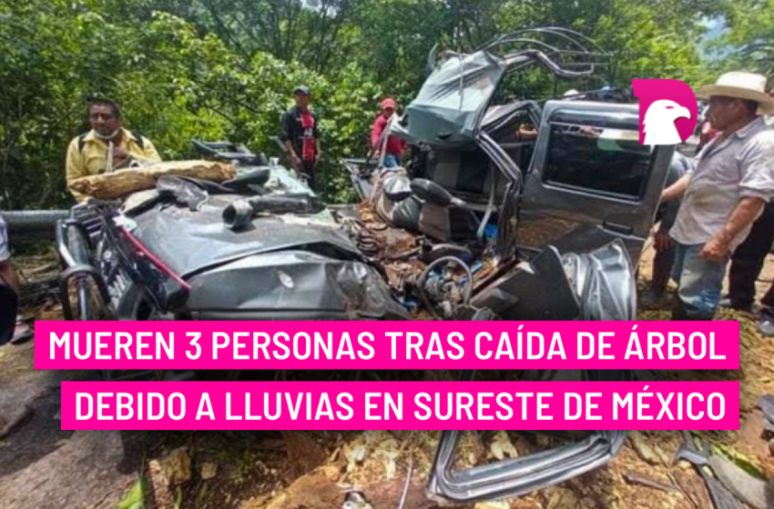  Mueren 3 personas tras caída de árbol debido a lluvias en sureste de México