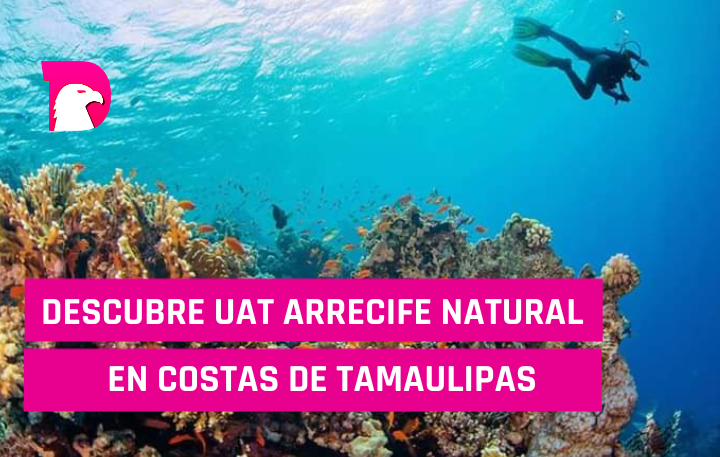  Descubre UAT arrecife natural en costas de Tamaulipas