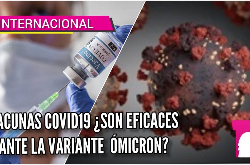 Vacunas COVID-19 ¿Son eficaces ante la variante ÓMICRON?