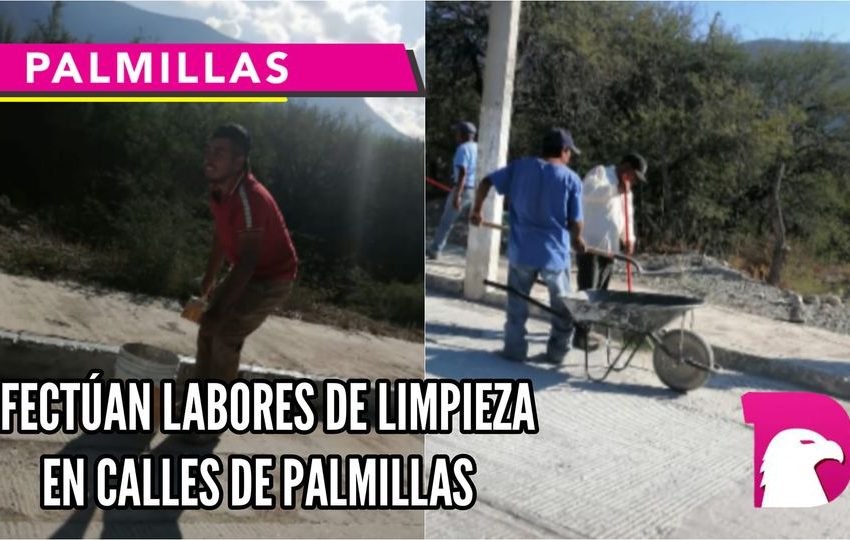  Efectúan labores de limpieza en calles de Palmillas