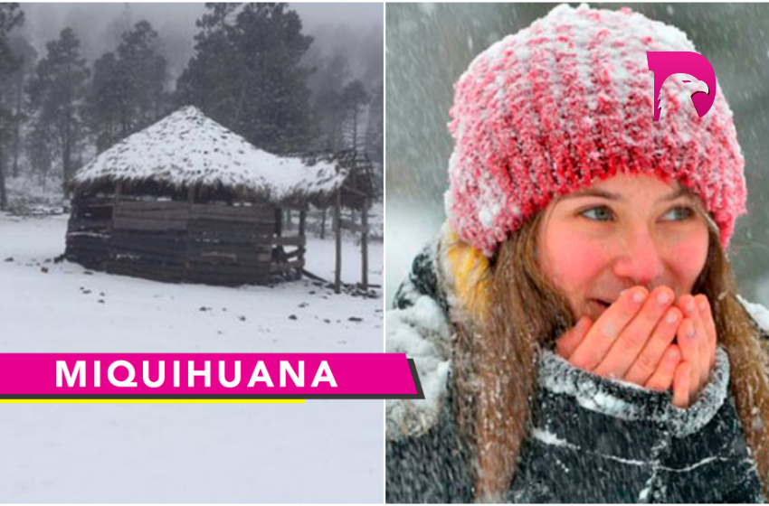  Llegó el frío… nevará en Miquihuana?