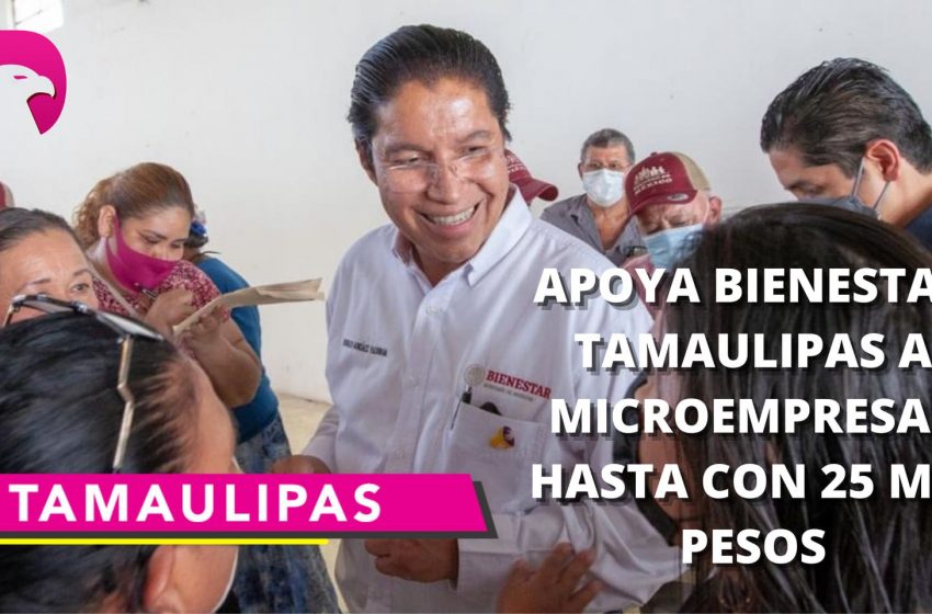  Apoya bienestar Tamaulipas a microempresas con hasta 25 mil pesos
