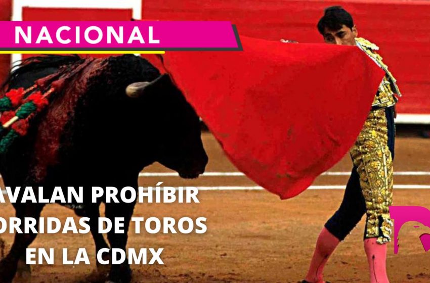  Avalan prohibir corridas de toros en la CDMX