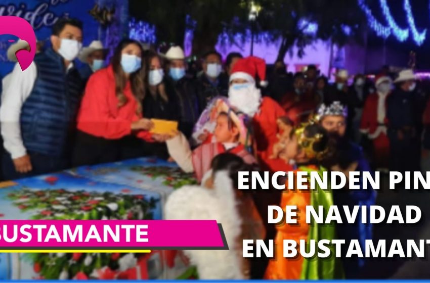  Encienden pino de navidad en Bustamante