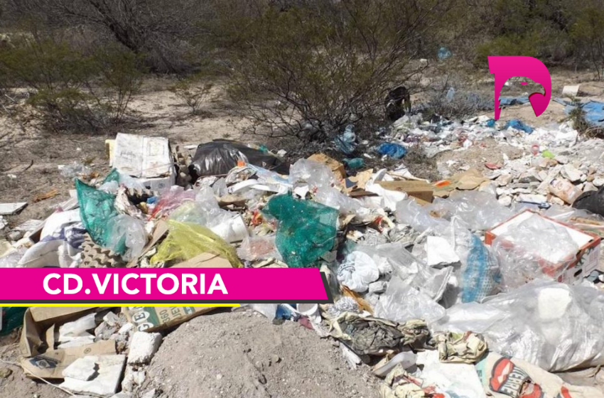  Elimina limpieza pública basureros clandestinos de Victoria