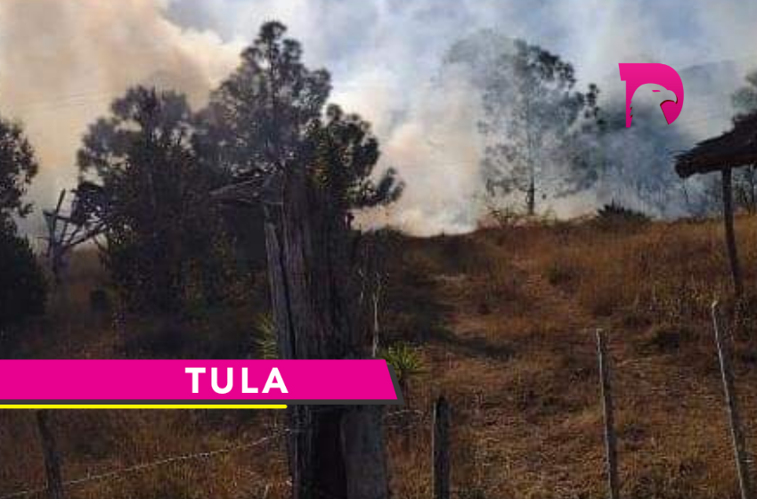  Reportan incendio forestal en San José de las Flores