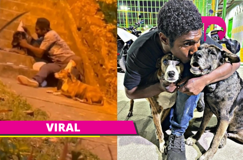  Tras vídeo viral de cumpleaños, ‘Choco’ y sus perritos ya tienen un hogar