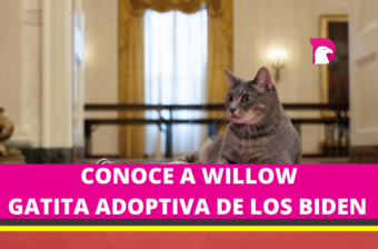  Joe y Jill Biden adoptan a Willow, nueva mascota de la Casa Blanca