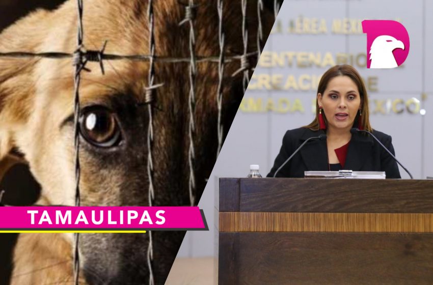  Pide Casandra De los Santos peritos veterinarios a Fiscalía