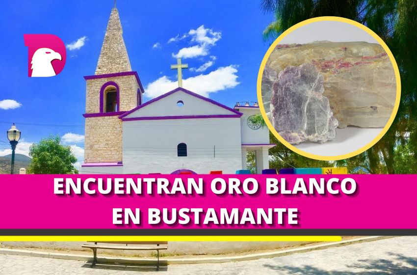  Encuentran oro blanco en Bustamante… LITIO