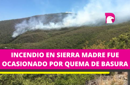  Los incendios del año pasado dejaron un saldo de 14 mil hectáreas afectadas