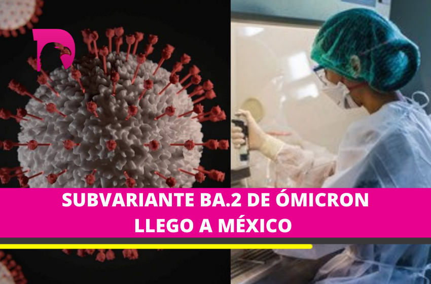  Detectan primer caso de BA.2 de COVID19 en México, subvariante de ómicron