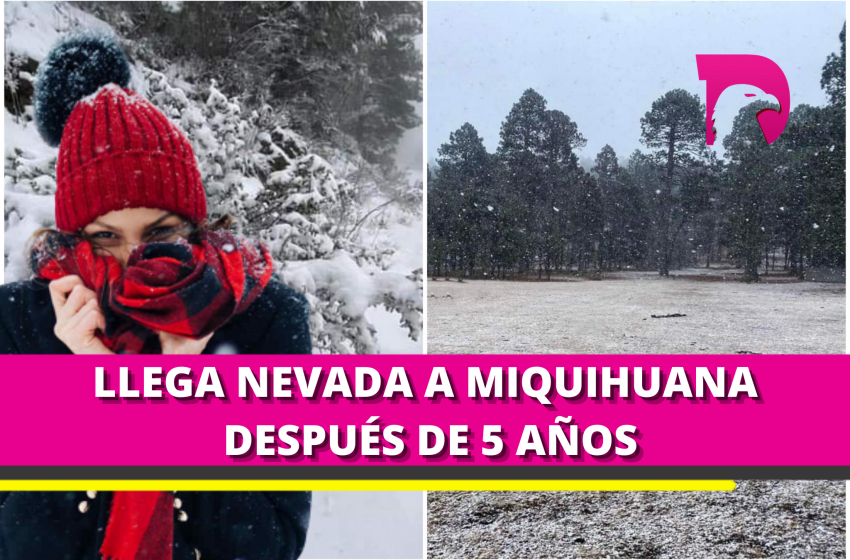  Así luce Miquihuana tras primera nevada
