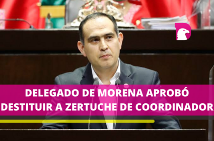  La decisión fue tomada por los diputados, no por el partido