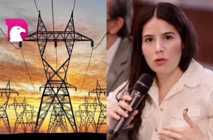  Expulsan a diputada del PVEM por votó contra Reforma Eléctrica