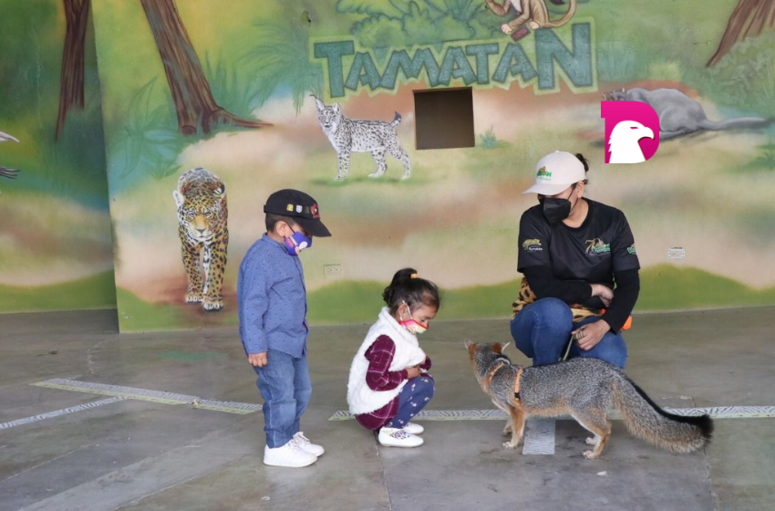  Celebra el Día Del Niño en el zoológico, con estas padrísimas actividades…