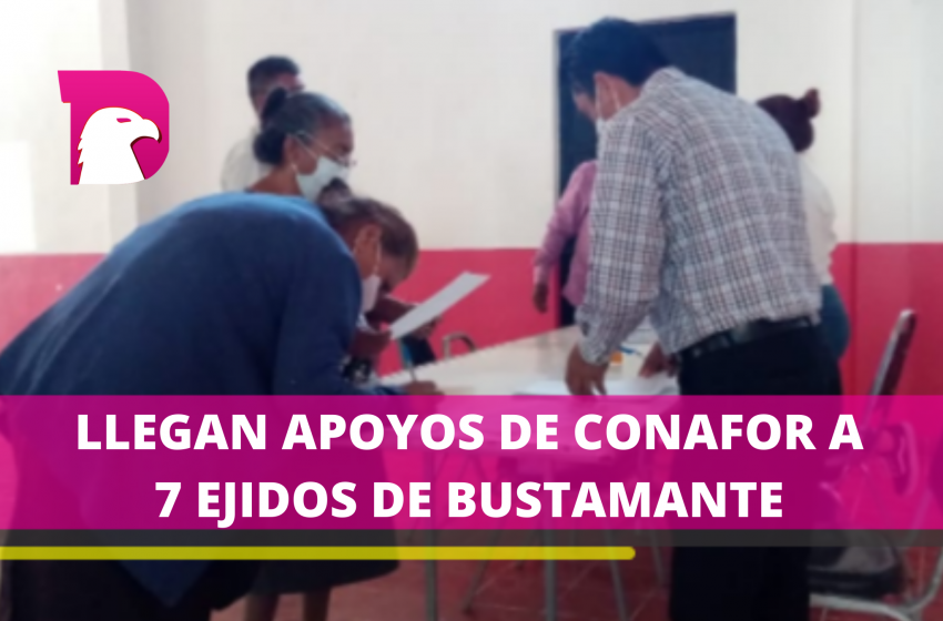  Llegan apoyos de Conafor a 7 ejidos de Bustamante