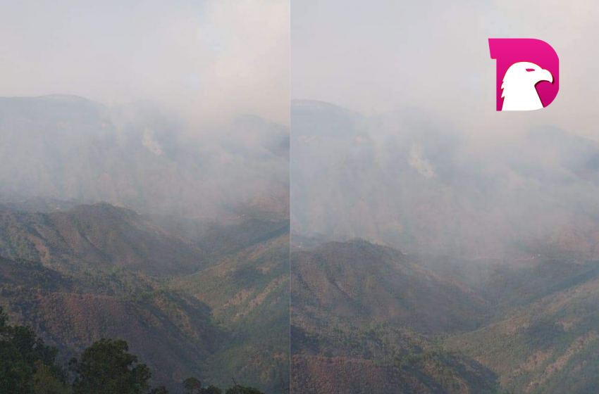  Se incendia la Sierra Madre en Güémez