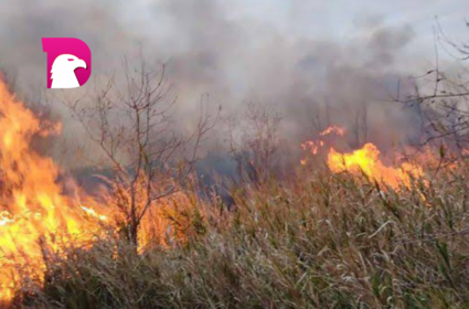  Incendios pueden agravar por sequía en Tamaulipas