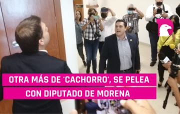  Otra más de Cachorro, se pelea con diputado de Morena