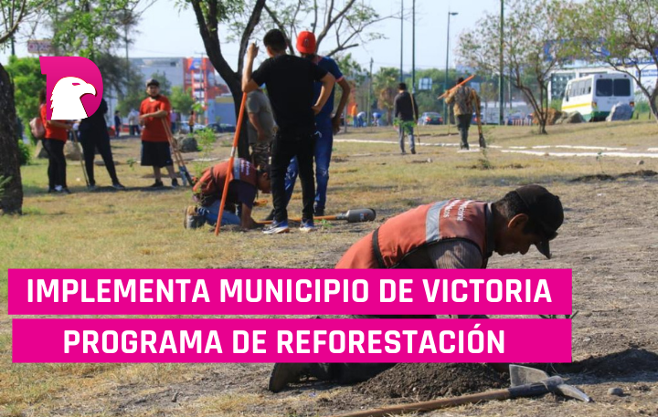  Implementa Municipio de Victoria programa de reforestación