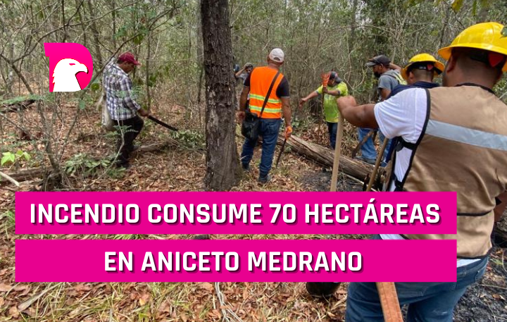  Incendio consume 70 hectáreas en Aniceto Medrano