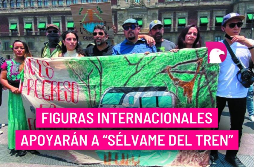  Los activistas aseguran que interpondrán más amparos