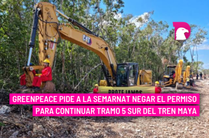  Greenpeace pide a la Semarnat negar el permiso para continuar tramo 5 Sur del Tren Maya