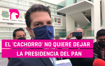  El ‘Cachorro’ no quiere dejar la presidencia del PAN