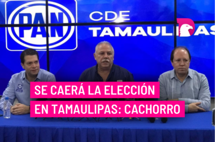  Se caerá la elección en Tamaulipas: Cachorro