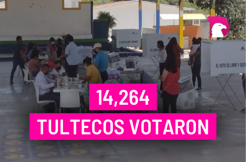  14,264 Tultecos votaron
