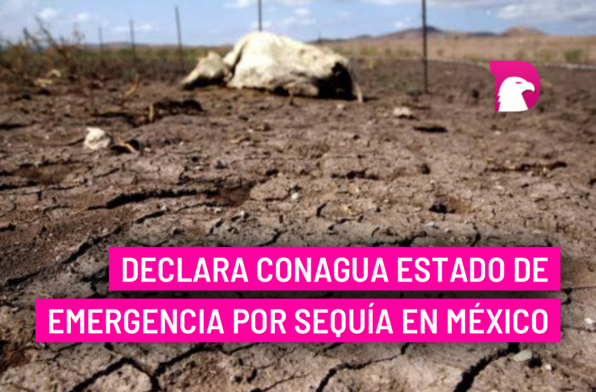  Declara Conagua estado de emergencia por sequía en México