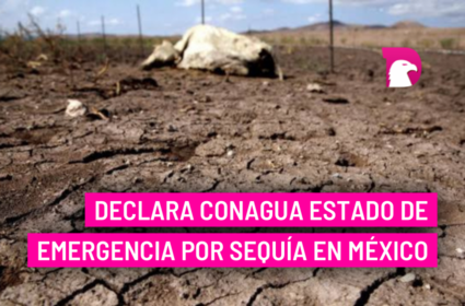  Declara Conagua estado de emergencia por sequía en México