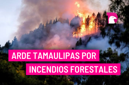  Arde Tamaulipas por incendios forestales