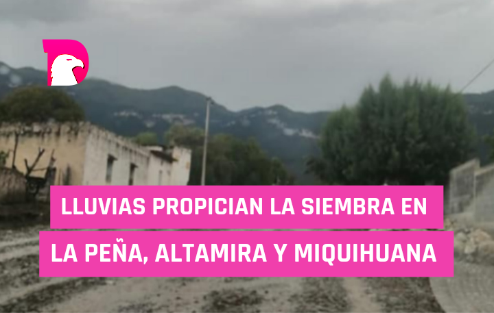  Lluvias propician siembra en la Peña, Altamira y Miquihuana