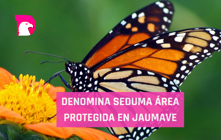  Denomina Seduma área protegida en Jaumave