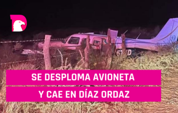  Se desploma avioneta y cae en Díaz Ordaz