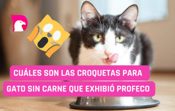  Cuáles son las croquetas para gatos sin carne que exhibió Profeco