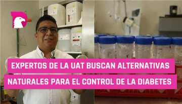  Expertos de la UAT buscan alternativas naturales para el control de la diabetes