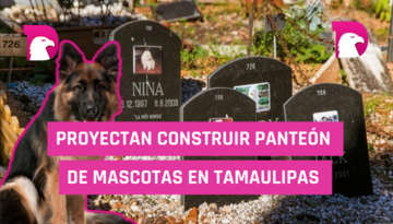  Proyectan construir panteón de mascotas en Tamaulipas