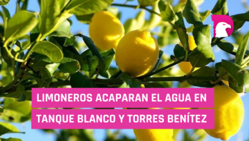  Limoneros acaparan el agua en Tanque Blanco y Terrones Benítez