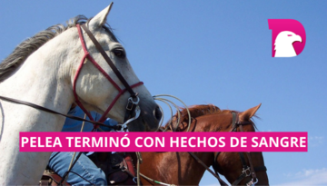  En Tanque Blanco carreras clandestinas caballo terminan a machetazos