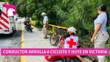  Conductor arrolla a ciclista y huye en Victoria