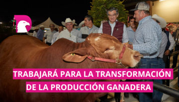  Ganadería de Tamaulipas será referente nacional: AVA