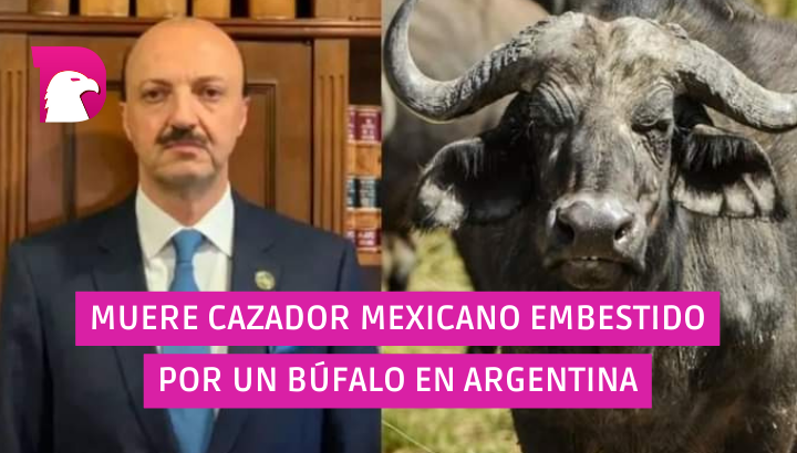  Muere cazador mexicano embestido por un búfalo en Argentina.