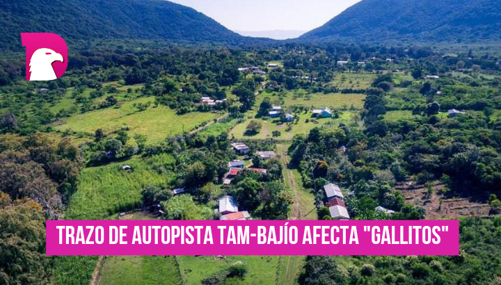  Trazo de autopista TAM-BAJIO afecta “Gallitos”