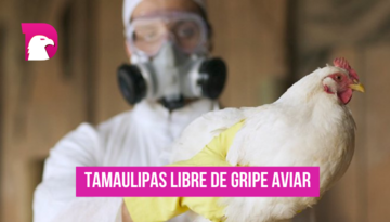  Tamaulipas libre de gripe aviar