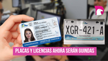  Placas y licencias ahora serán guindas