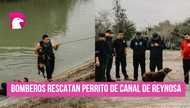  Bomberos rescatan perrito de canal de Reynosa